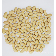 New Crop Blanched Peanut Kernel (25/29, 29/33, 35/39, 41/51, 51/61)